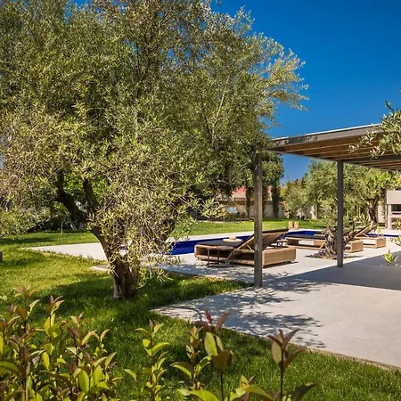 Joyana * سفوروناتا