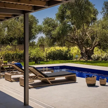 Joyana سفوروناتا